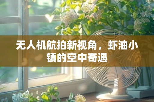 无人机航拍新视角，虾油小镇的空中奇遇