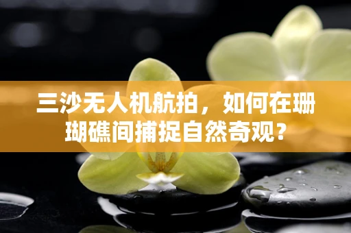 三沙无人机航拍，如何在珊瑚礁间捕捉自然奇观？