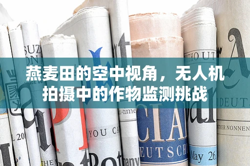 燕麦田的空中视角，无人机拍摄中的作物监测挑战