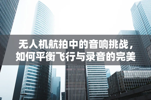 无人机航拍中的音响挑战，如何平衡飞行与录音的完美融合？