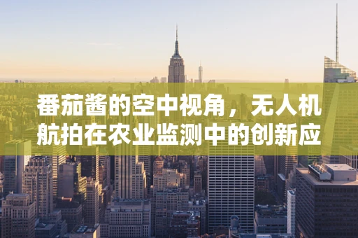 番茄酱的空中视角，无人机航拍在农业监测中的创新应用？