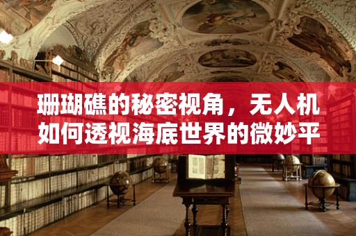 珊瑚礁的秘密视角，无人机如何透视海底世界的微妙平衡？