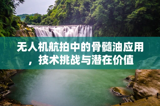 无人机航拍中的骨髓油应用，技术挑战与潜在价值