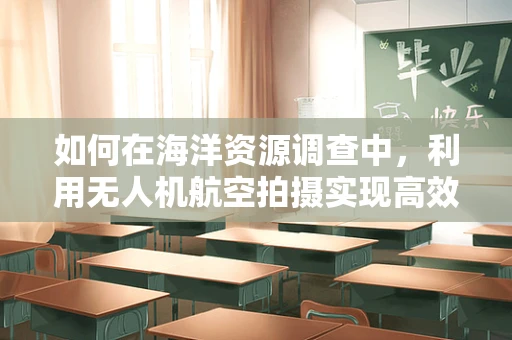 如何在海洋资源调查中，利用无人机航空拍摄实现高效精准监测？