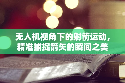 无人机视角下的射箭运动，精准捕捉箭矢的瞬间之美