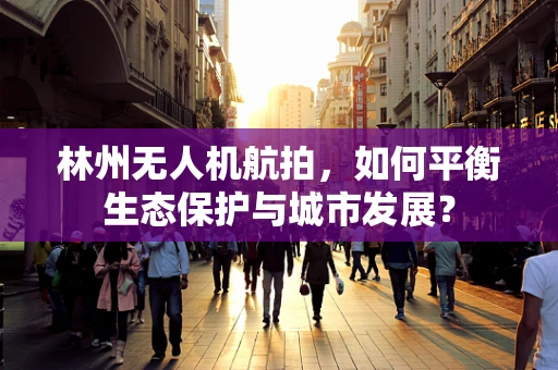 林州无人机航拍，如何平衡生态保护与城市发展？