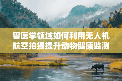 兽医学领域如何利用无人机航空拍摄提升动物健康监测效率？