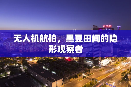 无人机航拍，黑豆田间的隐形观察者