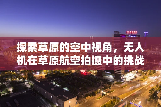 探索草原的空中视角，无人机在草原航空拍摄中的挑战与解决方案