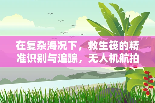 在复杂海况下，救生筏的精准识别与追踪，无人机航拍技术的挑战与解决方案