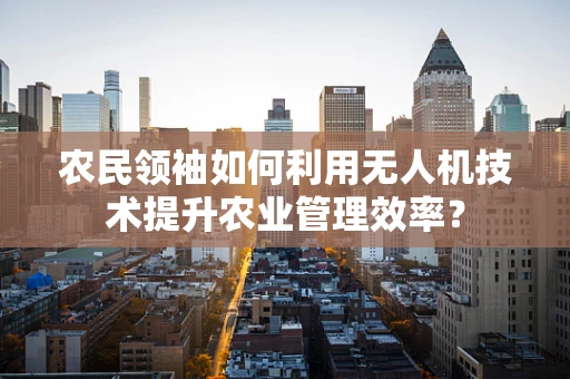 农民领袖如何利用无人机技术提升农业管理效率？