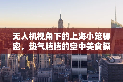无人机视角下的上海小笼秘密，热气腾腾的空中美食探秘