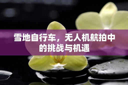 雪地自行车，无人机航拍中的挑战与机遇