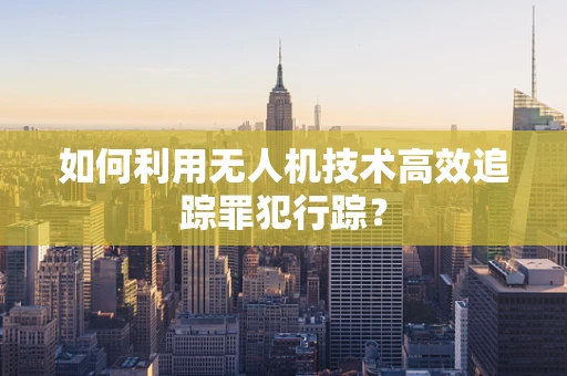 如何利用无人机技术高效追踪罪犯行踪？