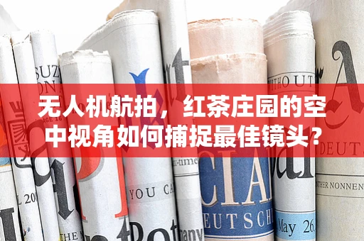 无人机航拍，红茶庄园的空中视角如何捕捉最佳镜头？