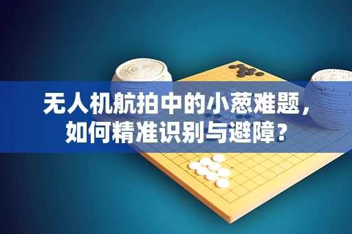无人机航拍中的小葱难题，如何精准识别与避障？