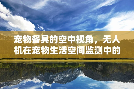 宠物餐具的空中视角，无人机在宠物生活空间监测中的应用挑战