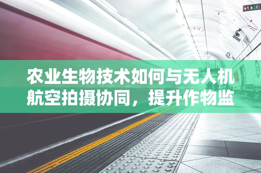 农业生物技术如何与无人机航空拍摄协同，提升作物监测精度？