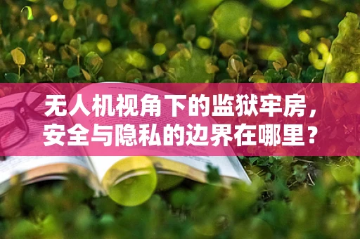 无人机视角下的监狱牢房，安全与隐私的边界在哪里？