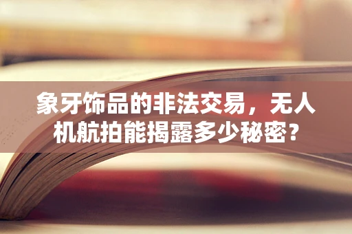 象牙饰品的非法交易，无人机航拍能揭露多少秘密？
