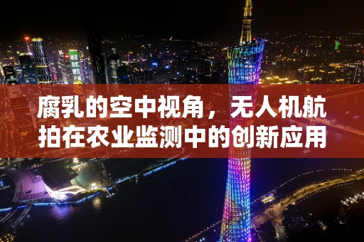 腐乳的空中视角，无人机航拍在农业监测中的创新应用？
