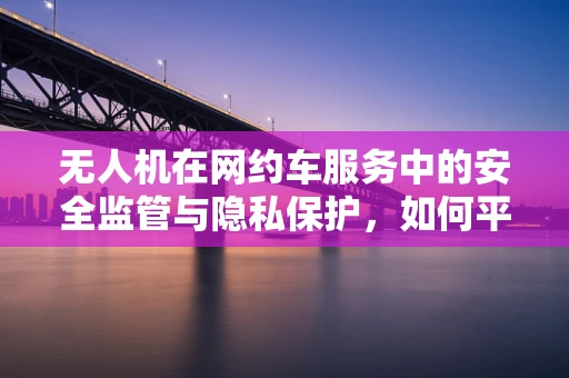 无人机在网约车服务中的安全监管与隐私保护，如何平衡技术便利与法律边界？