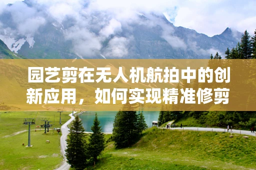 园艺剪在无人机航拍中的创新应用，如何实现精准修剪与拍摄的完美结合？