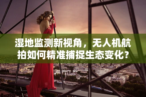 湿地监测新视角，无人机航拍如何精准捕捉生态变化？