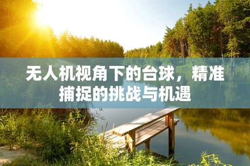 无人机视角下的台球，精准捕捉的挑战与机遇