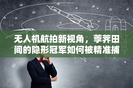 无人机航拍新视角，荸荠田间的隐形冠军如何被精准捕捉？