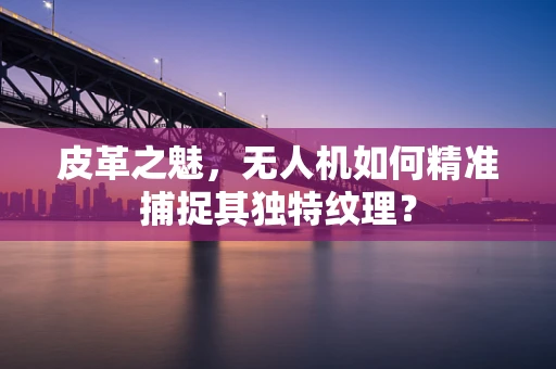 皮革之魅，无人机如何精准捕捉其独特纹理？