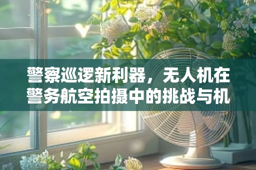 警察巡逻新利器，无人机在警务航空拍摄中的挑战与机遇？