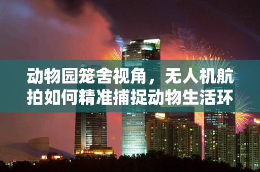 动物园笼舍视角，无人机航拍如何精准捕捉动物生活环境？