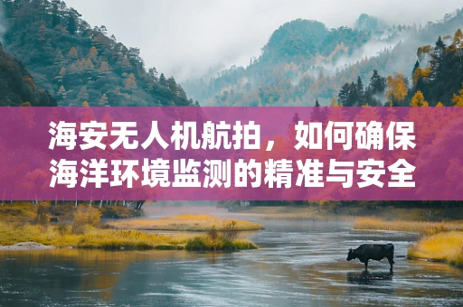海安无人机航拍，如何确保海洋环境监测的精准与安全？