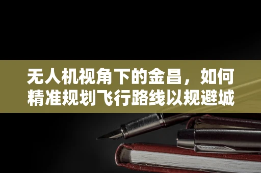 无人机视角下的金昌，如何精准规划飞行路线以规避城市障碍？