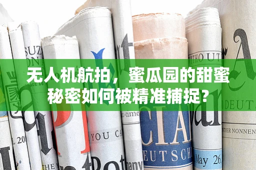 无人机航拍，蜜瓜园的甜蜜秘密如何被精准捕捉？