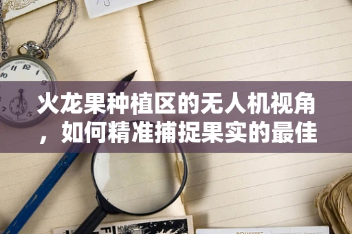 火龙果种植区的无人机视角，如何精准捕捉果实的最佳拍摄时机？