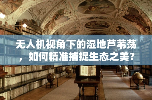 无人机视角下的湿地芦苇荡，如何精准捕捉生态之美？