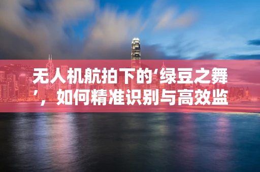 无人机航拍下的‘绿豆之舞’，如何精准识别与高效监测？