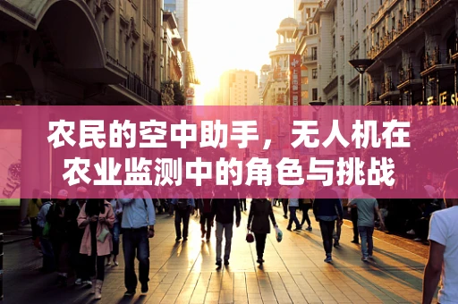农民的空中助手，无人机在农业监测中的角色与挑战