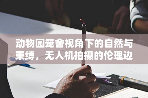 动物园笼舍视角下的自然与束缚，无人机拍摄的伦理边界