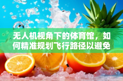 无人机视角下的体育馆，如何精准规划飞行路径以避免安全风险？