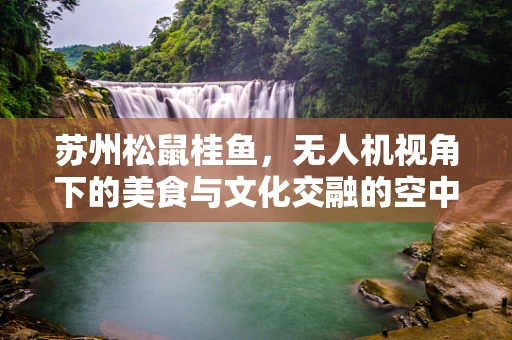 苏州松鼠桂鱼，无人机视角下的美食与文化交融的空中盛宴