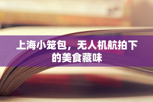上海小笼包，无人机航拍下的美食藏味