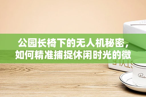 公园长椅下的无人机秘密，如何精准捕捉休闲时光的微妙瞬间？