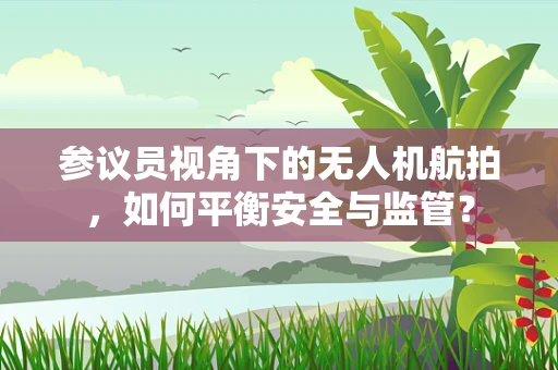 参议员视角下的无人机航拍，如何平衡安全与监管？