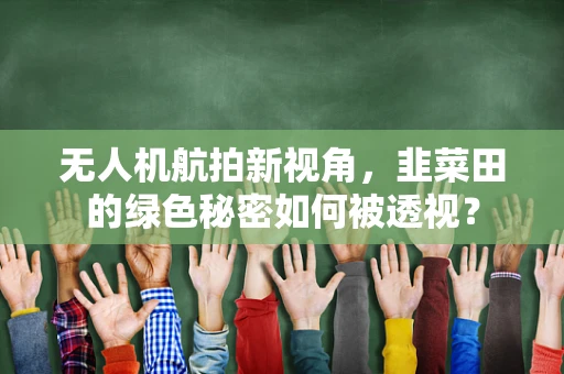 无人机航拍新视角，韭菜田的绿色秘密如何被透视？