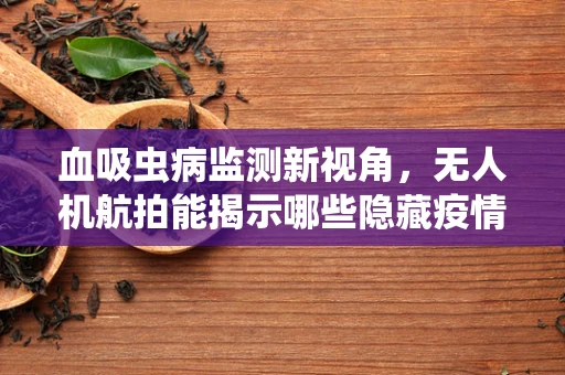 血吸虫病监测新视角，无人机航拍能揭示哪些隐藏疫情？