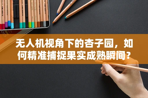 无人机视角下的杏子园，如何精准捕捉果实成熟瞬间？