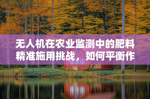无人机在农业监测中的肥料精准施用挑战，如何平衡作物需求与环境保护？